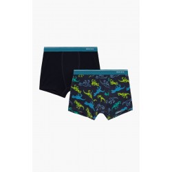 Minerva Dino 2Pack Παιδικό / Εφηβικό Boxer